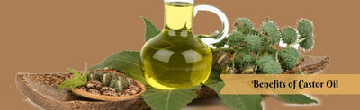 Castor Oil: An Overview, Proper Dosages, and Benefits of Castor Oil