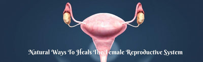 The Ultimate Grocare Solution for The Female Reproductive System
