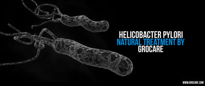 Helicobacter Pylori Natural Treatment Cure